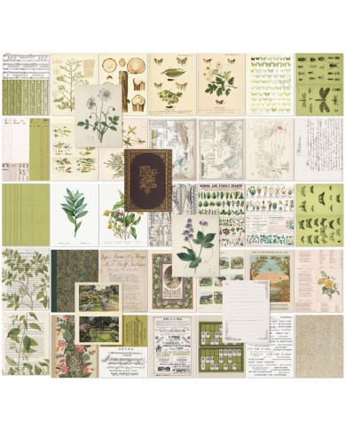 Hojas para Collage 49AndMarket Color Swatch: Grove CSG-25118