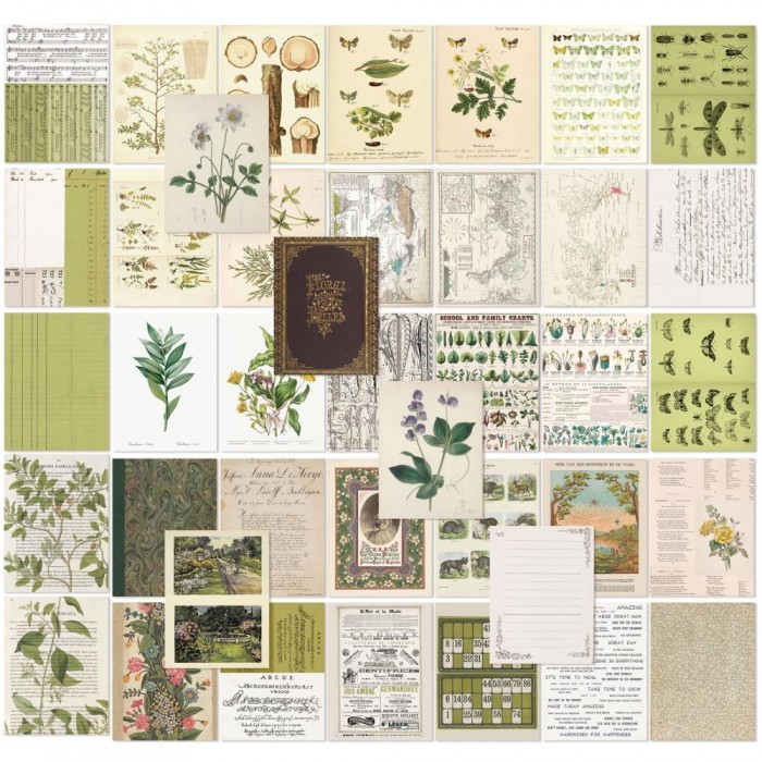 Hojas para Collage 49AndMarket Color Swatch: Grove CSG-25118