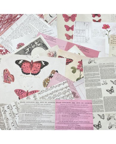 Hojas para Collage 49AndMarket Color Swatch: Blossom CSB-40179