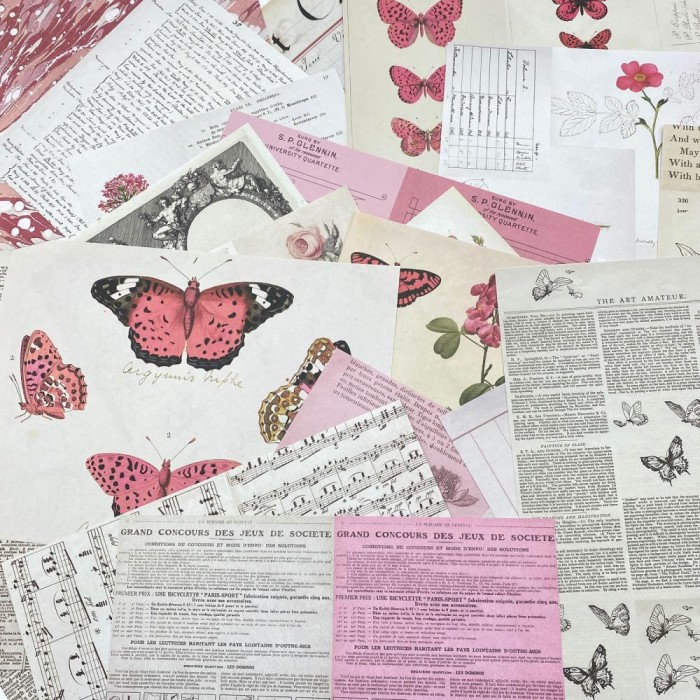 Hojas para Collage 49AndMarket Color Swatch: Blossom CSB-40179