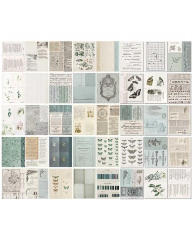 Hojas para Collage 49AndMarket Color Swatch: Eucalyptus CSE-39951