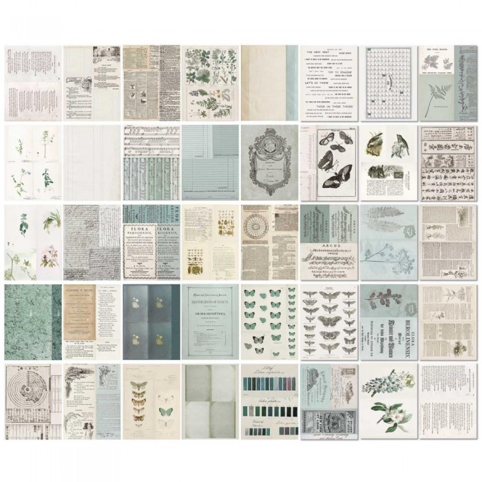 Hojas para Collage 49AndMarket Color Swatch: Eucalyptus CSE-39951