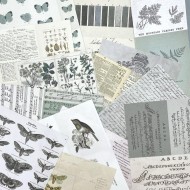 Hojas para Collage 49AndMarket Color Swatch: Eucalyptus CSE-39951