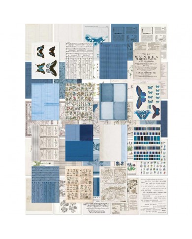 Hojas para Collage 49AndMarket Color Swatch: Inkwell CSI-40971