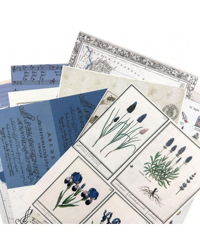 Hojas para Collage 49AndMarket Color Swatch: Inkwell CSI-40971