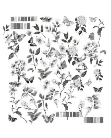 Recortables o diecuts de acetato 49 And Market Laser Cut Outs CCS-27495