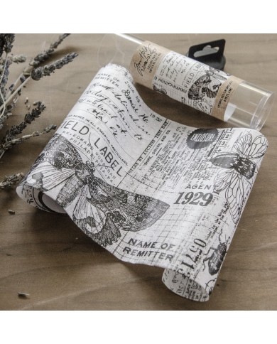 COLLAGE PAPER ENTOMOLOGY Tim Holtz TH94120