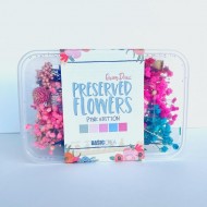 Flores preservadas para manualidades y decoración - Pink Edition