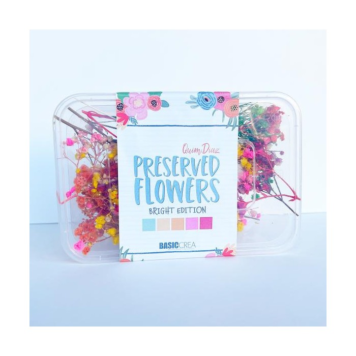 Flores preservadas para manualidades y decoración - Bright Edition