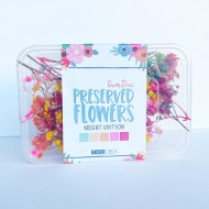 Flores preservadas para manualidades y decoración - Bright Edition