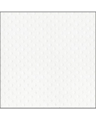 Cartulina embozada punteada de 30x30cmts pulgadas  Bazzill