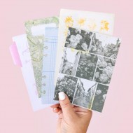 Diecuts y Pegatinas Maggie Holmes Parasol Paperie Pack 200/Pkg