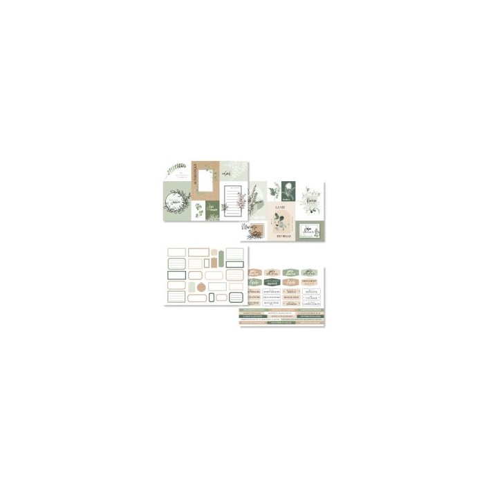 Creative kit 12 HARMONIE cards FDPI125002