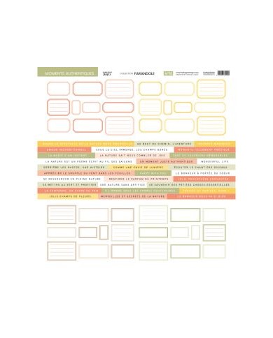 Farandole print kit Collection 30,5 x 30,5 cm Florileges