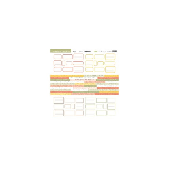 Farandole print kit Collection 30,5 x 30,5 cm Florileges