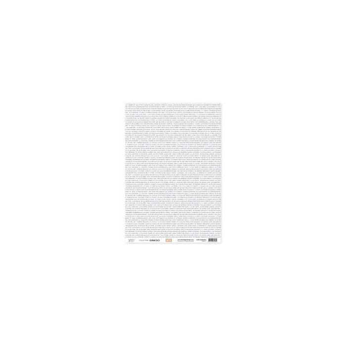GINKGO Kit de papeles vellum x 4 unidades FDPC325005