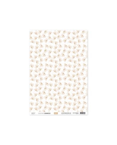 GINKGO Kit de papeles vellum x 4 unidades