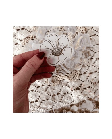Set 50 die cuts vellum foil - Posdata