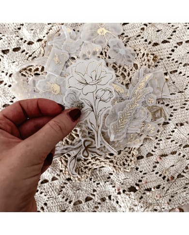 Set 50 die cuts vellum foil - Posdata