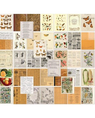 Hojas para Collage 49AndMarket Color Swatch: Peach