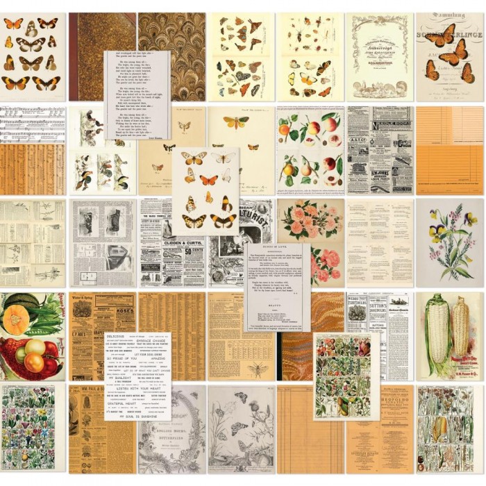 Hojas para Collage 49AndMarket Color Swatch: Peach