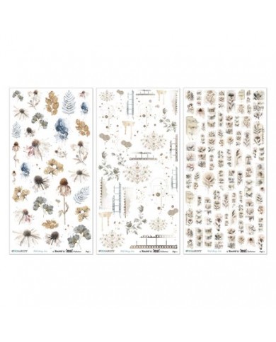 Transferibles o Rubbons The Faded Memory Lane