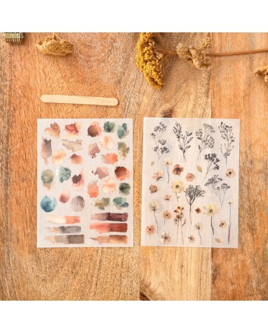 Transferibles o rub-ons Flores Raices