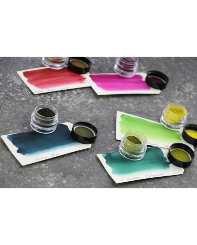 Lindy´s Magical FLAT FoxeGlove