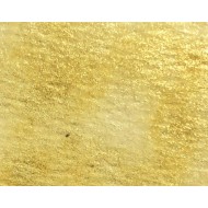 Pigmentos Lindy´s Glittering Gold Magical Shaker