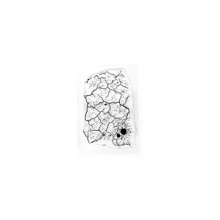 Sello de polimero Florilèges - FDCL318004