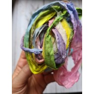 SARIS de SARAFERRET - Nro 43- ARCOIRIS2