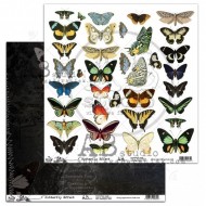 ABstudio - Butterfly Effect - 1 hoja