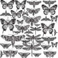 ABstudio - Glam paper - sheet 58 - Golden Insects - 1 hoja
