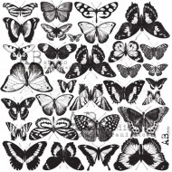 ABstudio - Glam paper silver - sheet 68 - Silver Butterflies - 1 hoja