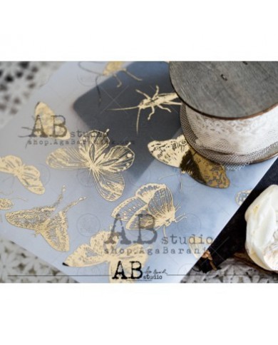 ABstudio Gold vellum Paper 0120