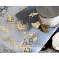 ABstudio Gold vellum Paper 0120