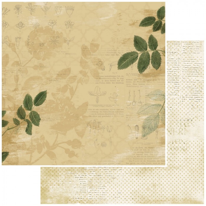 49andmarket Vintage Artistry Everyday Collection Pack