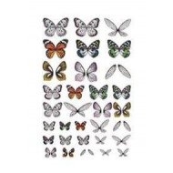 Tim Holtz® Idea-ology Paperie - Transparent Wings TH93785