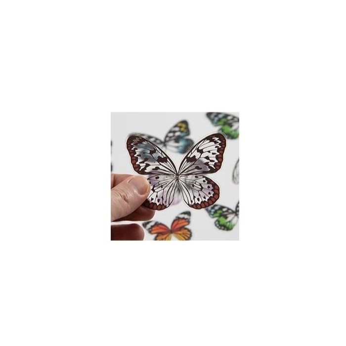 Tim Holtz® Idea-ology Paperie - Transparent Wings TH93785