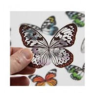 Tim Holtz® Idea-ology Paperie - Transparent Wings TH93785