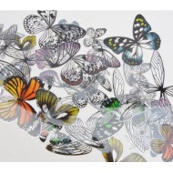 Tim Holtz® Idea-ology Paperie - Transparent Wings TH93785