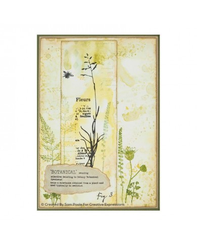 SET DE SELLOS CREATIVE EXPRESSION  - BFLY WALK CEC957