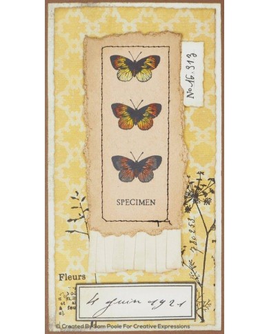 SET DE SELLOS CREATIVE EXPRESSION  - BFLY WALK CEC957