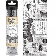 COLLAGE PAPER ENTOMOLOGY Tim Holtz TH94120