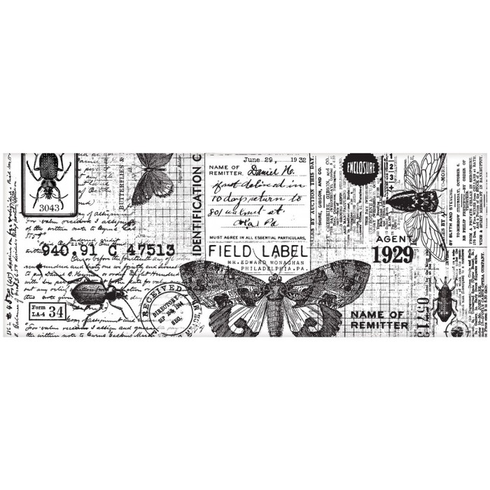 COLLAGE PAPER ENTOMOLOGY Tim Holtz TH94120