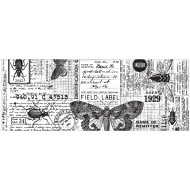 COLLAGE PAPER ENTOMOLOGY Tim Holtz TH94120