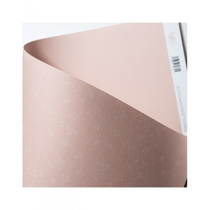 Cartulina XL Toffee de TOFFEE Aluacid