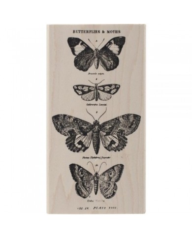 TIM HOLTZ MOUNTED RED RUBBER STAMP – BUTTERFLY 1