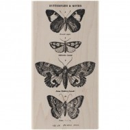 TIM HOLTZ MOUNTED RED RUBBER STAMP – BUTTERFLY 1
