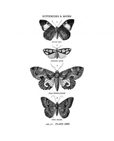 TIM HOLTZ MOUNTED RED RUBBER STAMP – BUTTERFLY 1